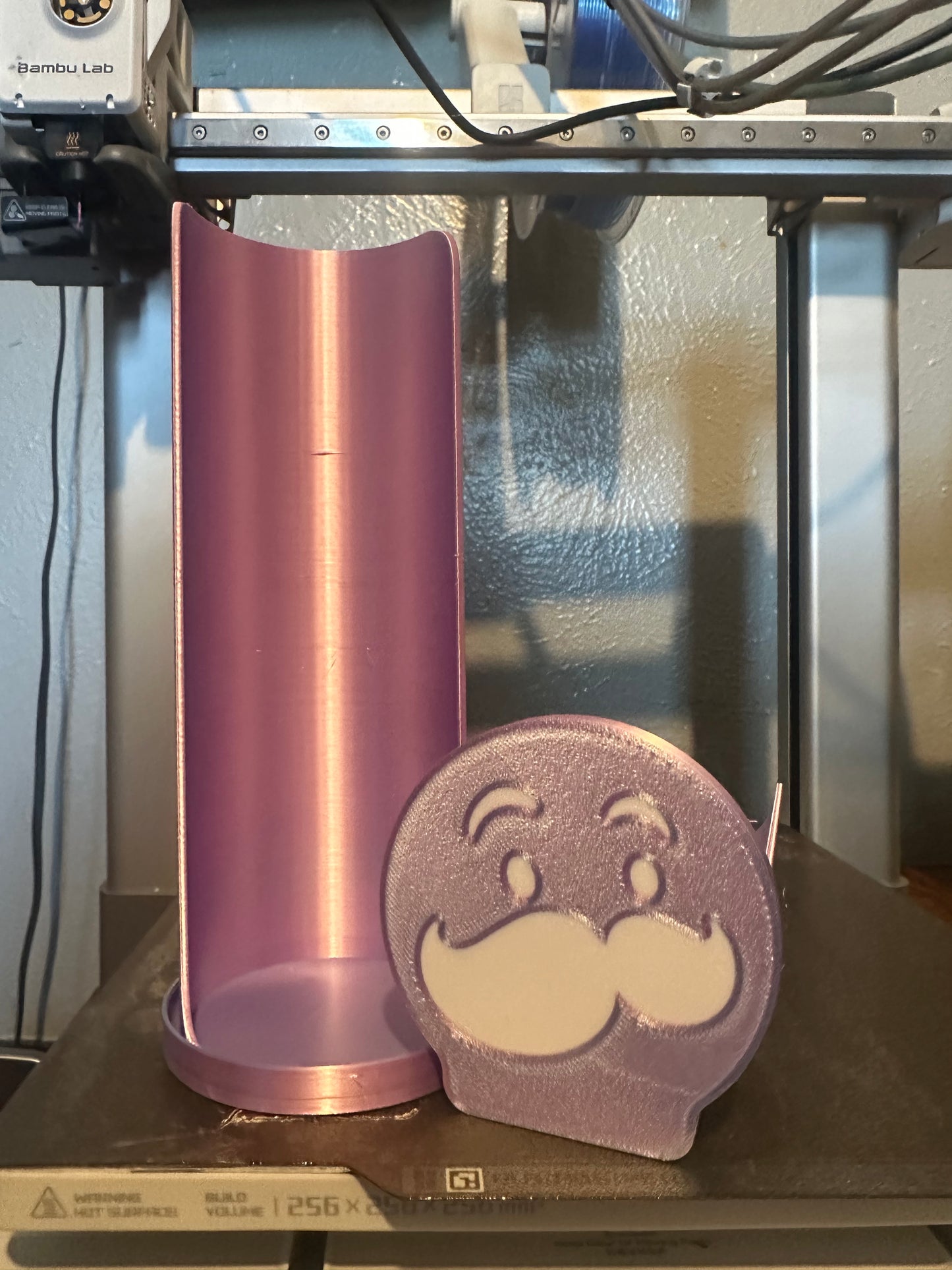 3D Pringle Tray